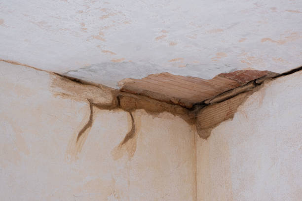 Best Emergency water damage restoration  in Cresson, TX