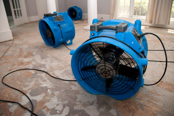 Best Water damage restoration near me  in Cresson, TX